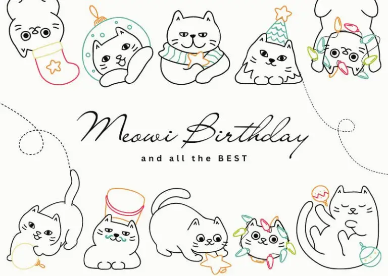 Birthday card with cats