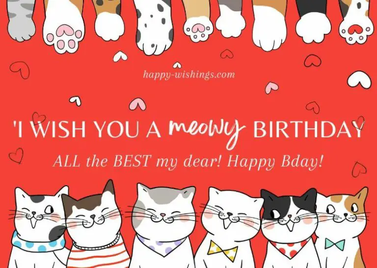 Birthday card for cat lovers