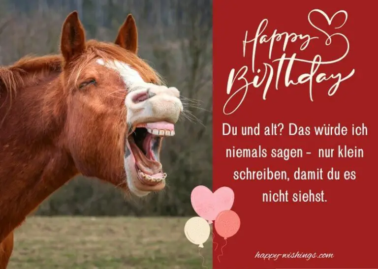 Lustiger Geburtstagswunsch auf einer Karte mit Pferd, das aussieht, als würde es lachen